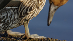 穏やかな時間です