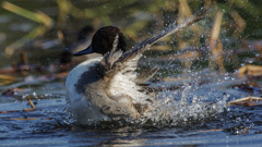 とりあえず離脱