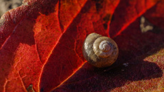 野っぱら歩きは