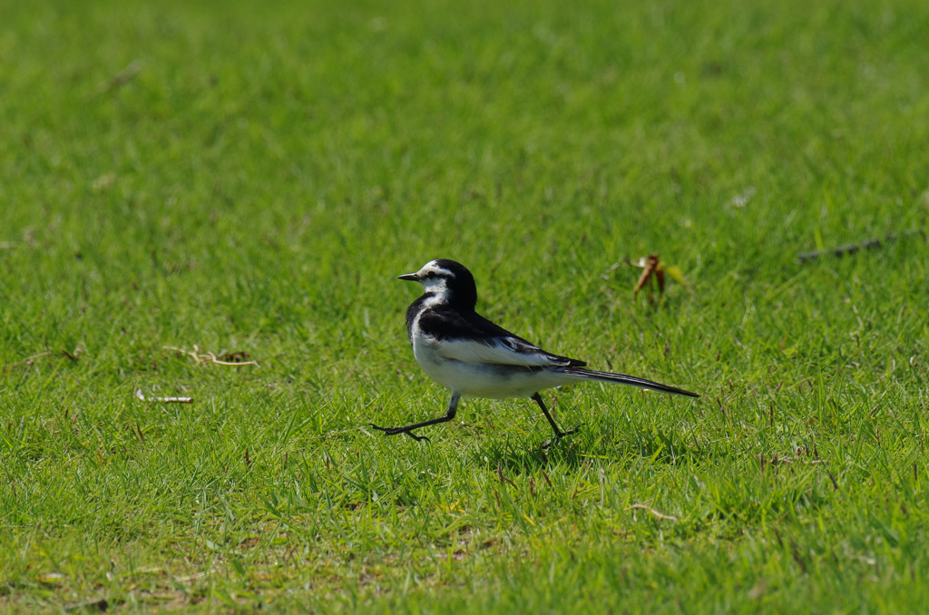 RainDrops Keep Fallin' On My Head　♪  -1