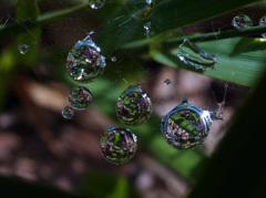 足もと博物館 -1
