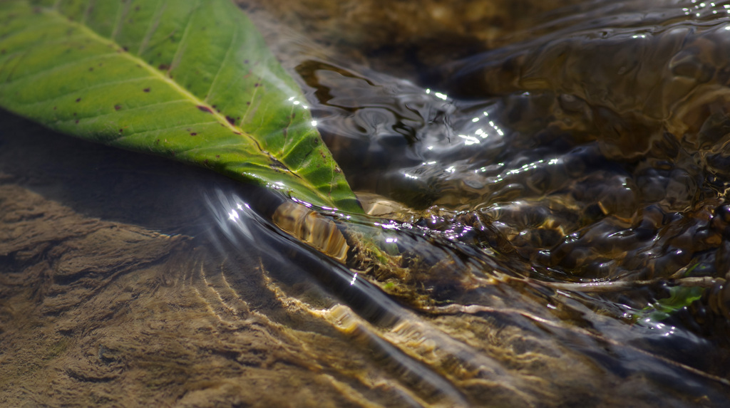 緊急事態宣言解除の