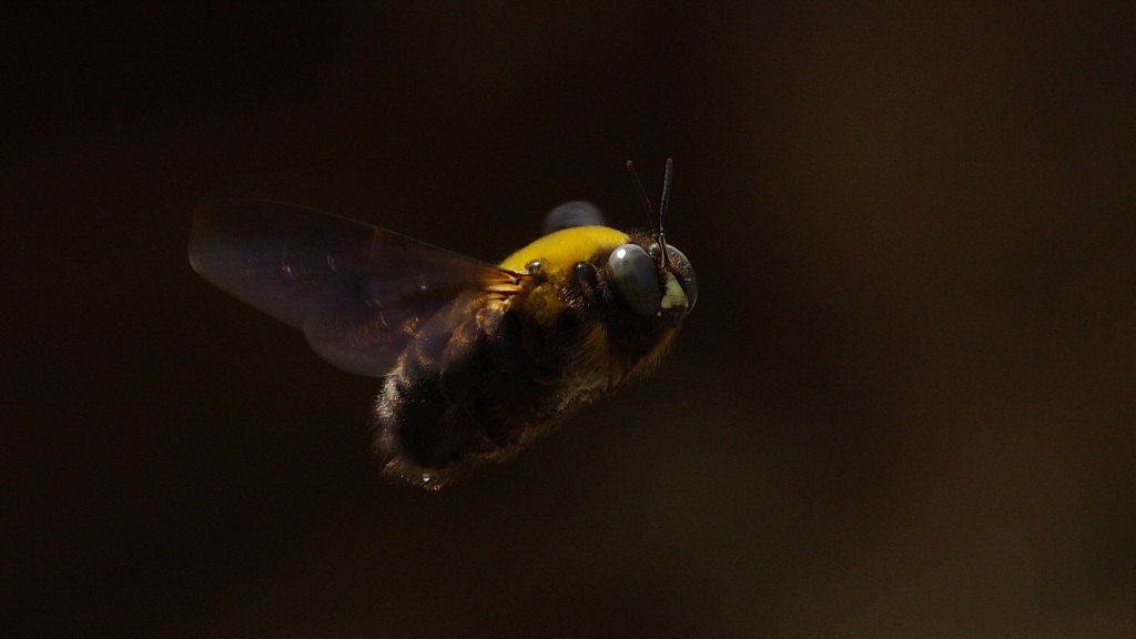 ある日の出来事　 -Ⅶ