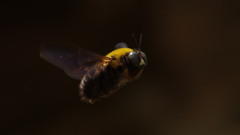 ある日の出来事　 -Ⅶ