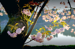 昔の写真で出ていますⅡ