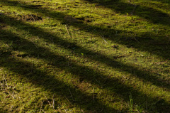 大好きニッポン