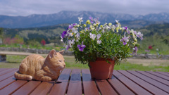 -2  レムすいみん