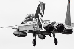 コブラ　vs　ドラゴン イーグル