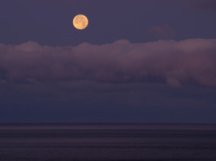 The great gig in the 空