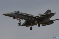 軍馬 F/A-18 レガシーホーネット