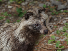 ６月スナップ４