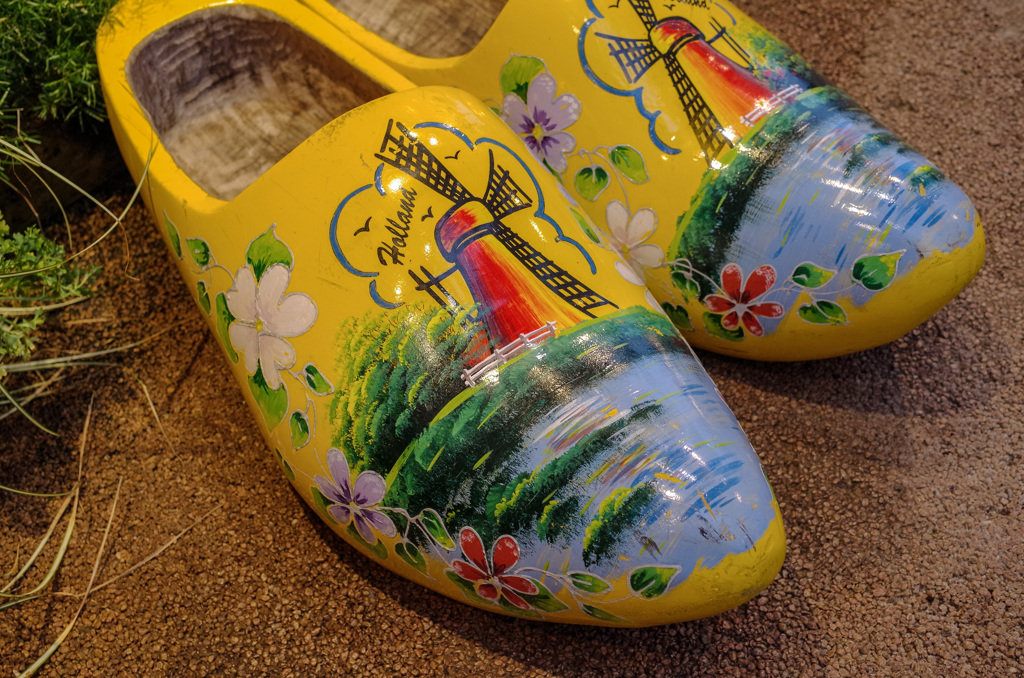 チューリップまであと２か月