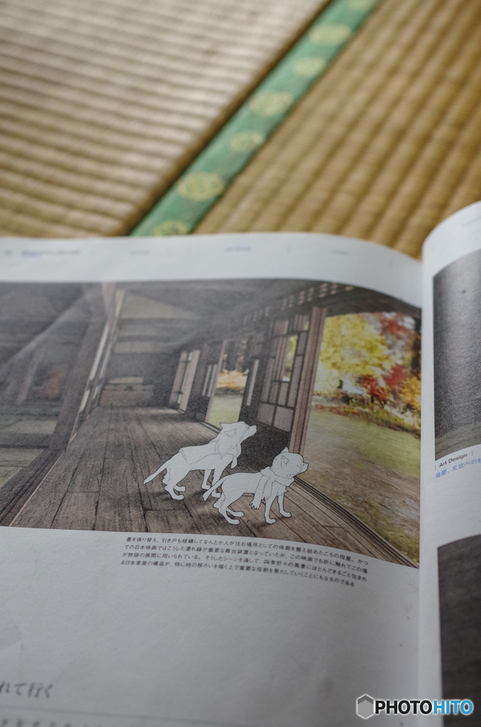 オオカミこどもの花の家