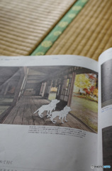 オオカミこどもの花の家