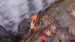 -110 　長秒なんていらない