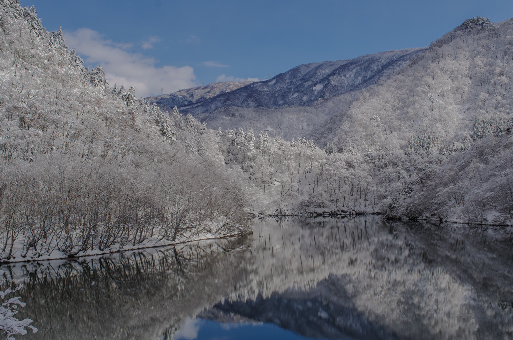 冬はウインター