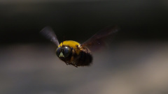 ある日の出来事　 -Ⅳ