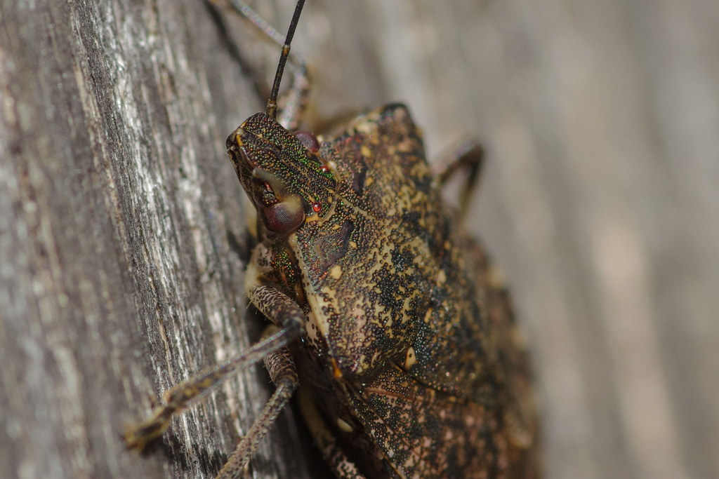 -2/2　 閲覧大歓迎