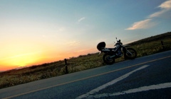 ビーナスライン