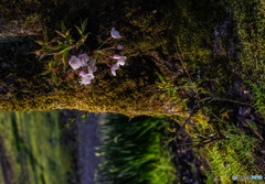 あなたに似たひと Ⅱ