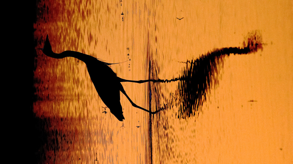 あふりかツイン