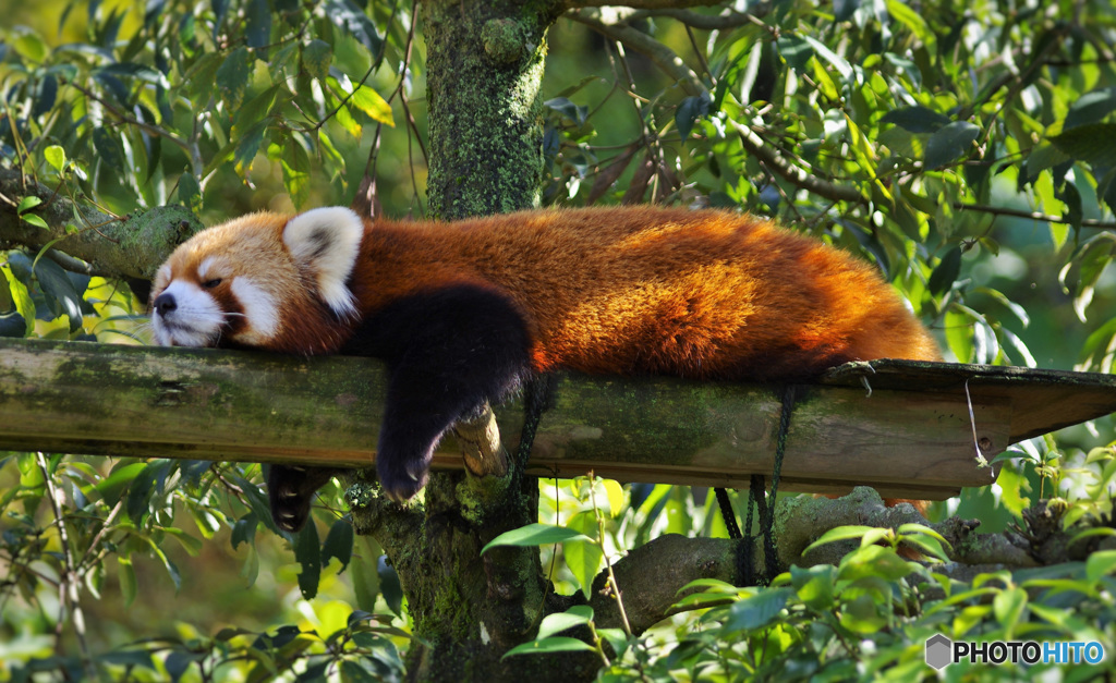 Hero は疲れるっ！