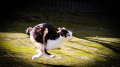 フルスロットル