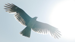  -4 　番外マクロ