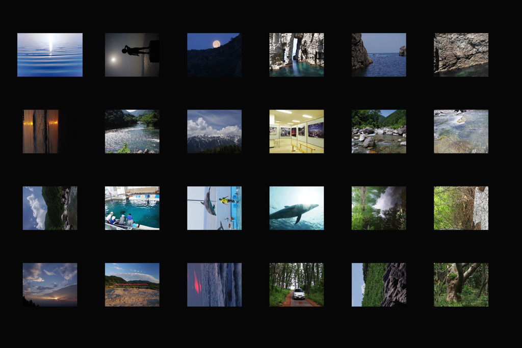 ライダーズ はい