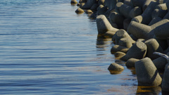 ５月下旬の静か