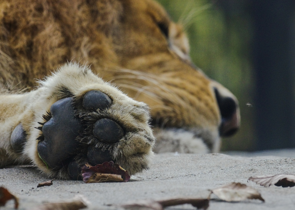 にくてそ で調べてみた