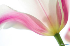 いろんな色をみつけましょう