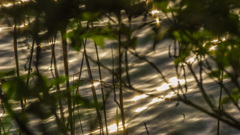 初めてのカントク、ありがとう　