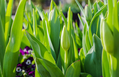 さあ、そろそろだよ～