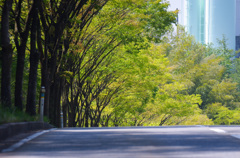Green -17