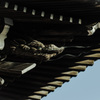 龍神　水神
