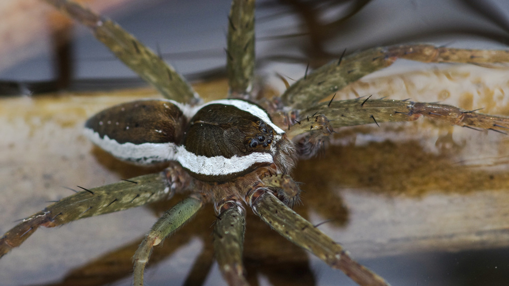 -10　閲覧ご注意ください