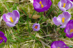 ド真ん中投げなさい