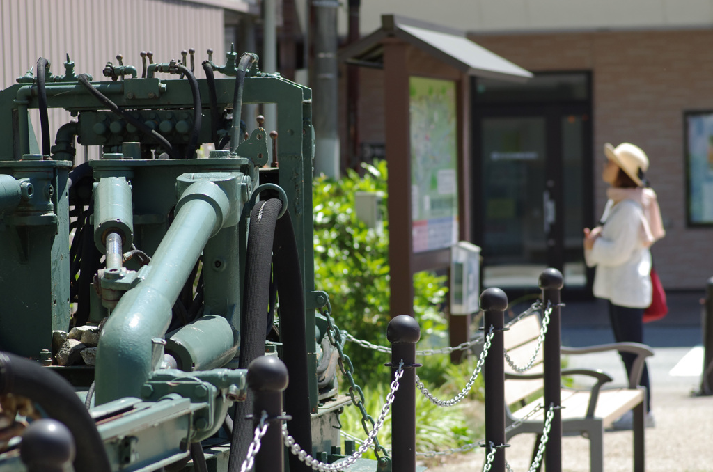  -9 　日帰りｺﾄﾘｯﾌﾟ