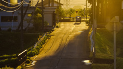 キリンのいる風景