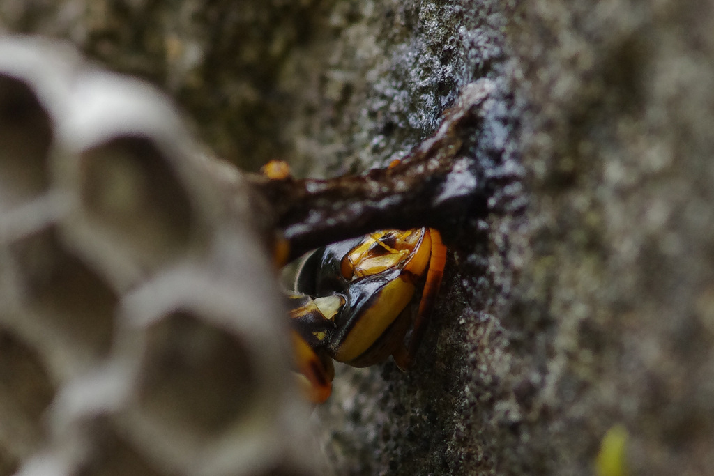  その２　閲覧注