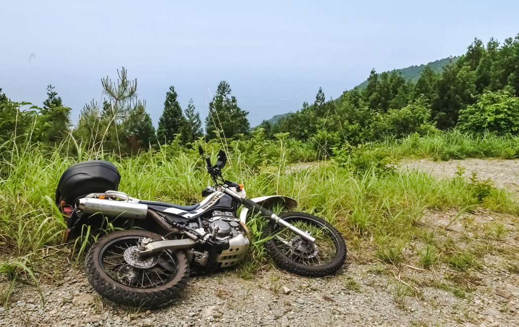 とれいるらいだーの本音