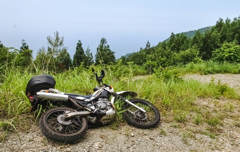 とれいるらいだーの本音