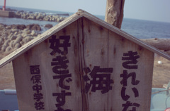 アントキノ　写真 -1