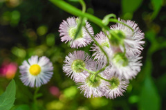 昼休みにユーミン　-6/7