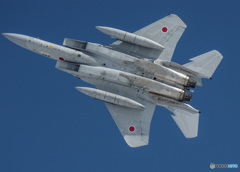 Wing Over