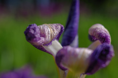 時間が経ってしまったのだなあ　1980