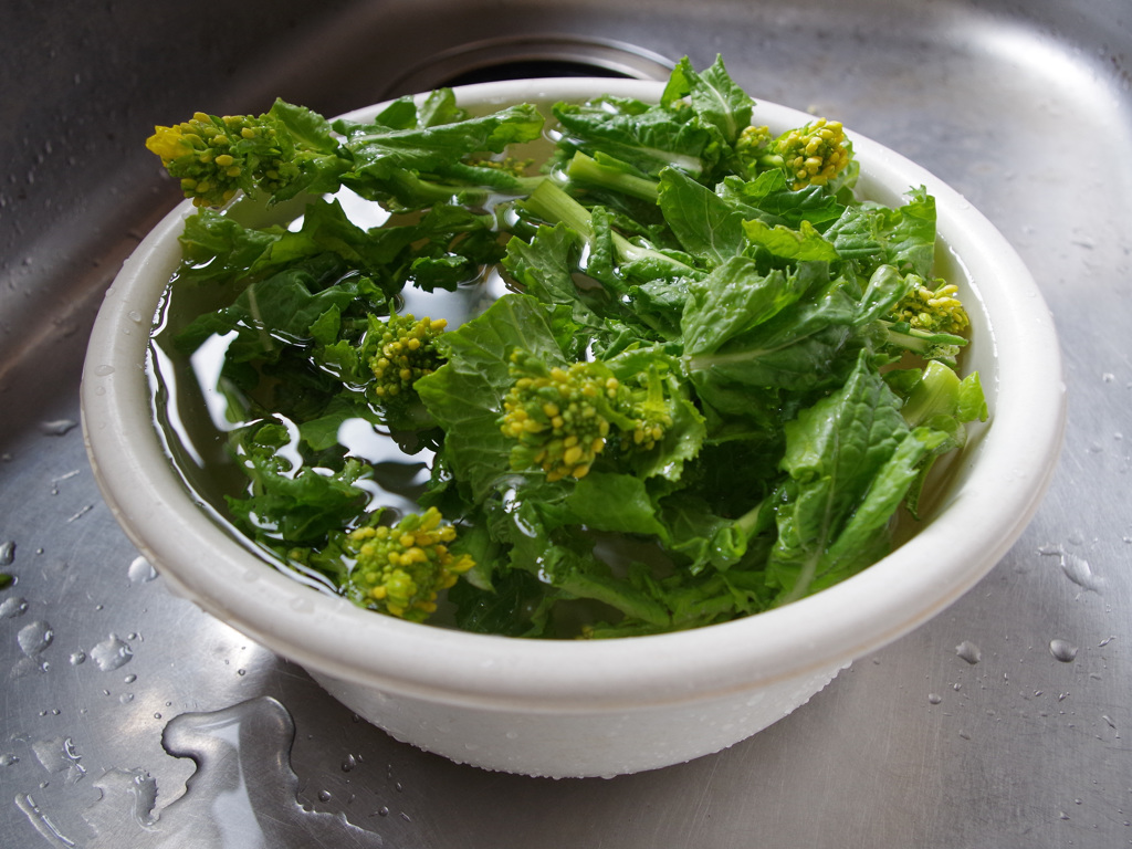 なっぱ　 母をたずねて