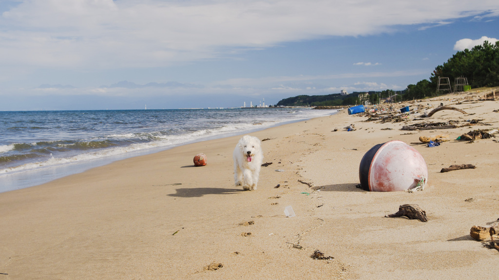 もう、ゆるさん～