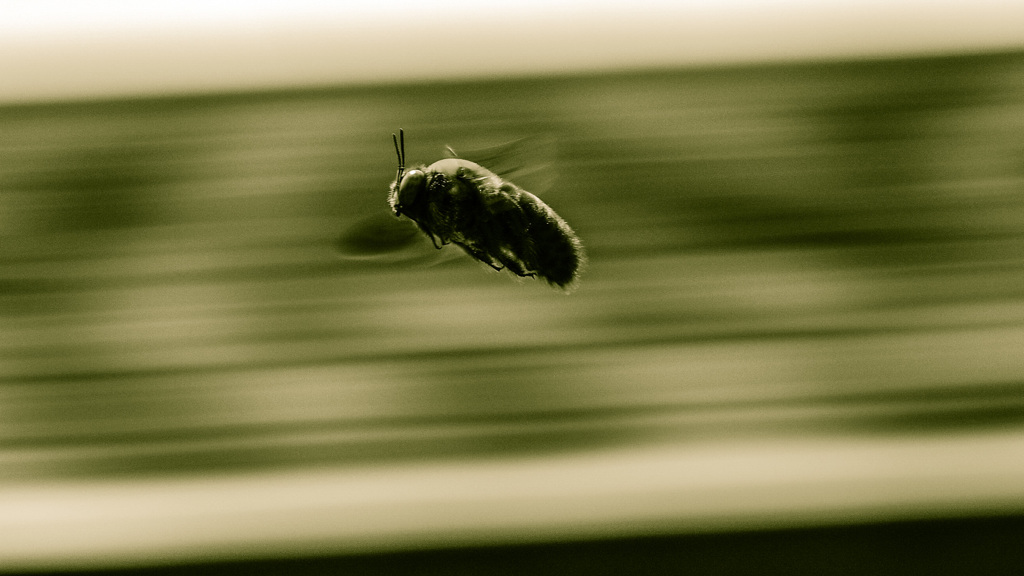 ある日の出来事  -Ⅵ